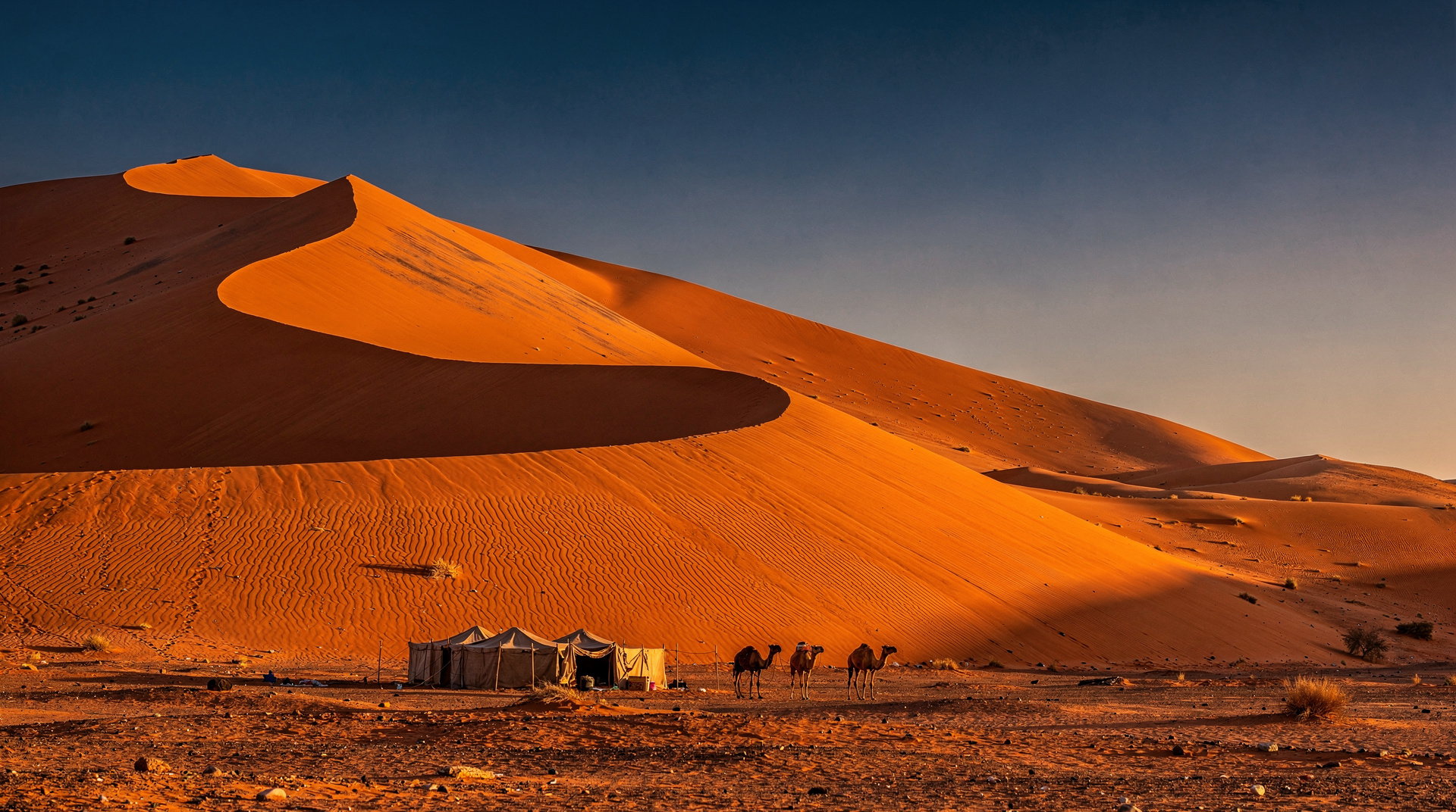 How to Book a Sahara Desert Tour in Morocco Without Getting Ripped Off