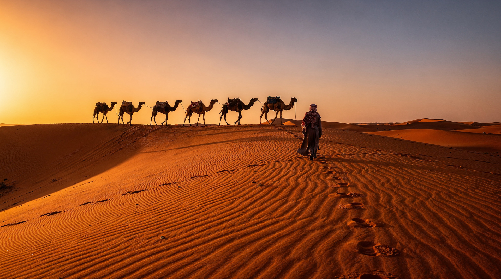 Sahara tours