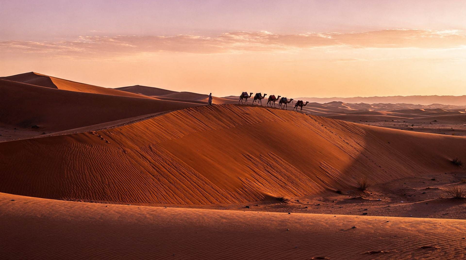 Sandboarding in Merzouga: what to know before you slide down Erg Chebbi
