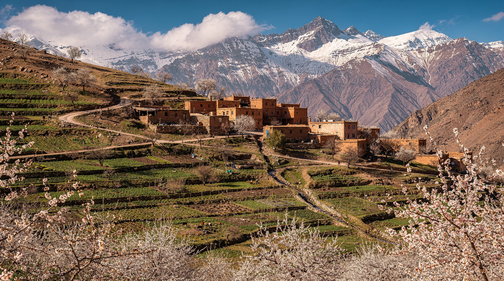 14 days in Morocco